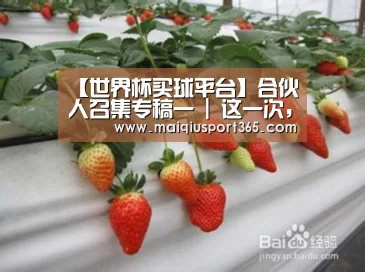 【世界杯买球平台】合伙人召集专稿一 | 这一次,从三亚海边别墅出发,拥抱乌托邦时光(图3) 世界杯买球平台