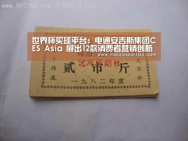 世界杯买球网站