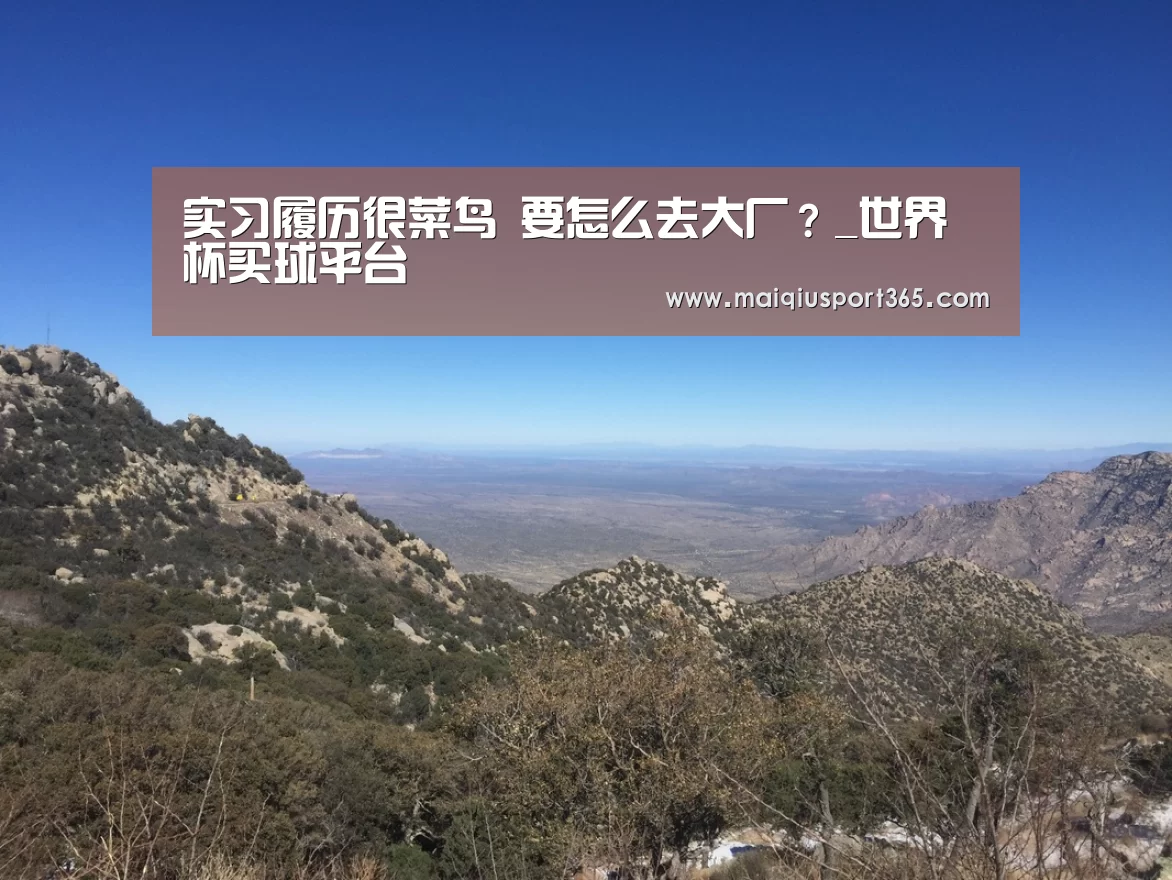实习履历很菜鸟 要怎么去大厂?_世界杯买球平台(图2) 世界杯买球官网
