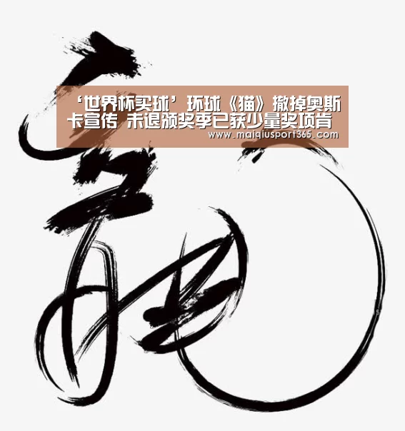 ‘世界杯买球’环球《猫》撤掉奥斯卡宣传 未退颁奖季已获少量奖项肯定(图2) 世界杯买球官网